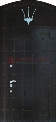 Металлическая арочная дверь ДА-22 высокого качества в Новосибирске