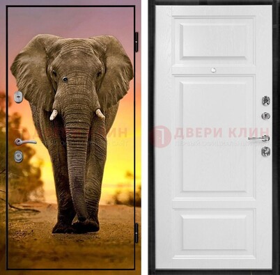 Металлическая дверь с фотопечатью слона ДФ-30 в Новосибирске