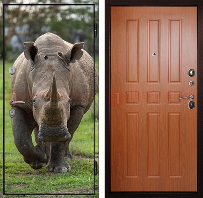 Металлическая дверь с фотопечатью носорога ДФ-31 в Новосибирске
